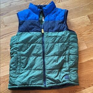 Blue and Green Puffer Vest